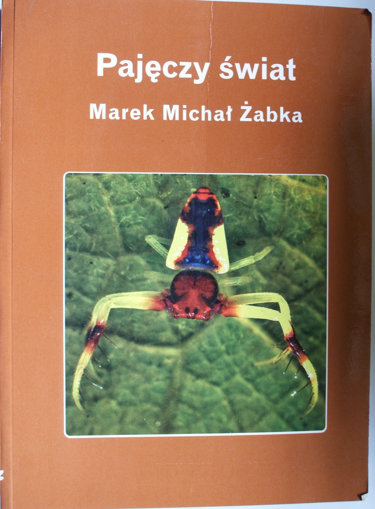 PAJĘCZY ŚWIAT ŻABKA D398