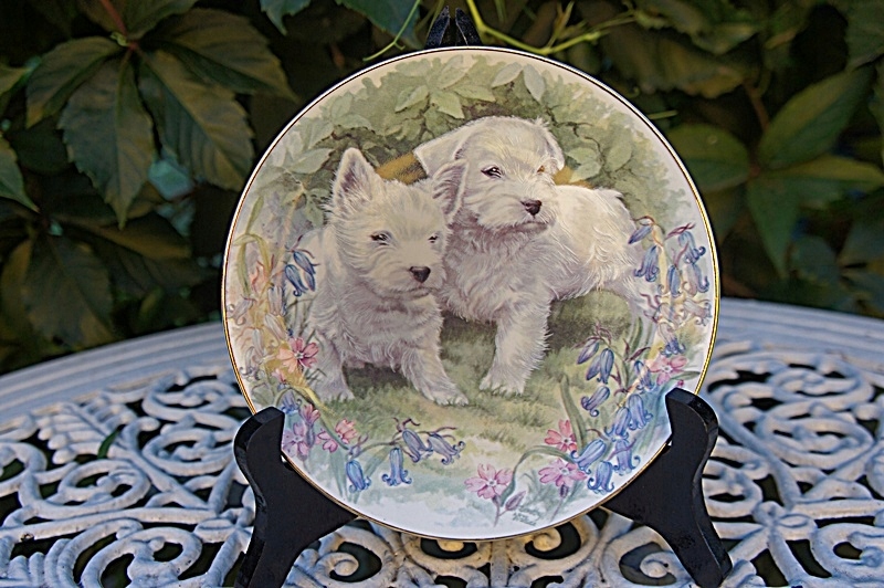 Talerz West White Terrier - Harrogate Cruse