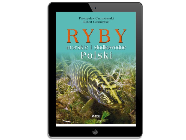 Ryby morskie i słodkowodne Polski