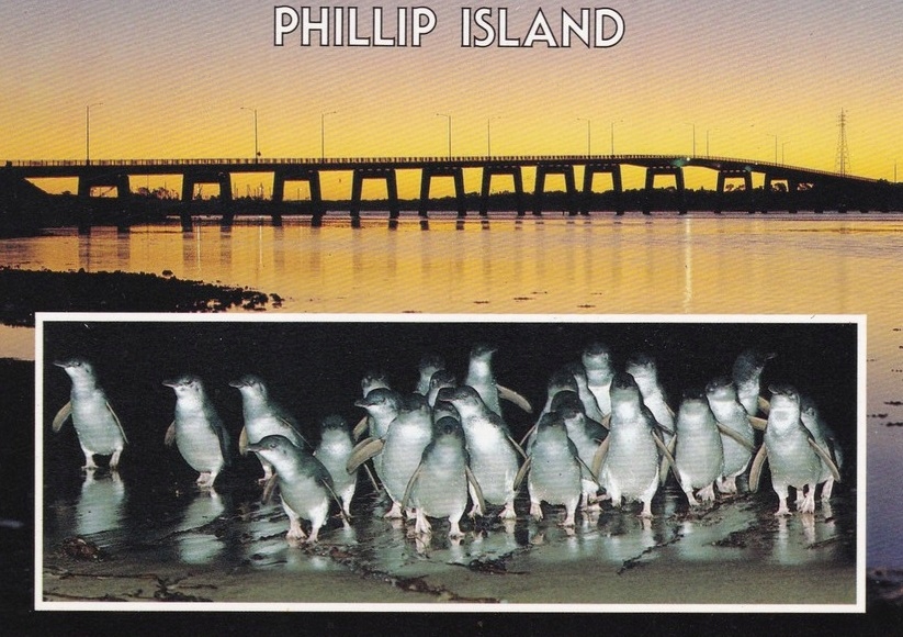 AUSTRALIa - Phillip Island - Natura