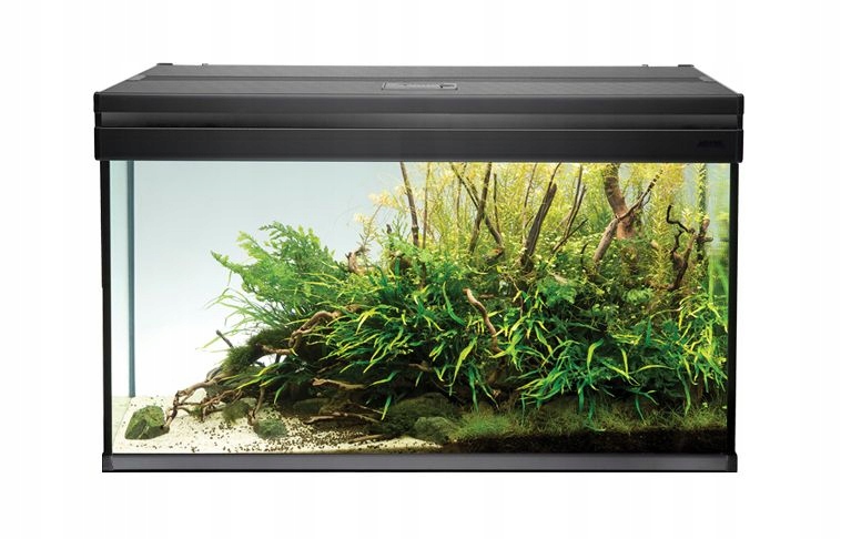 AquaEL Zestaw ASPECT 80 dąb czarny