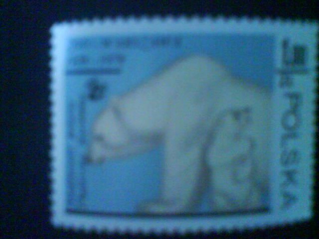 Zoo Warszawa 1928-1978 Niedźwiedź polarny
