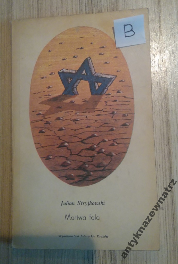 Martwa fala - Julian Strykowski
