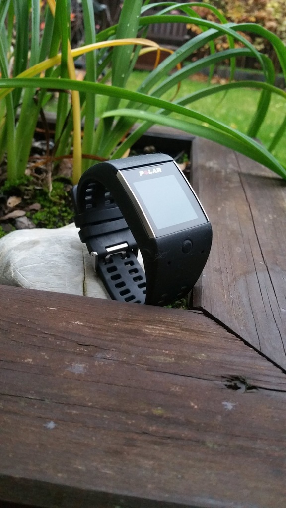 polar v600