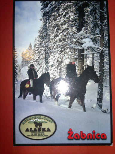 AMA KOŃ KONIE POCZTÓWKA Alaska Żabnica