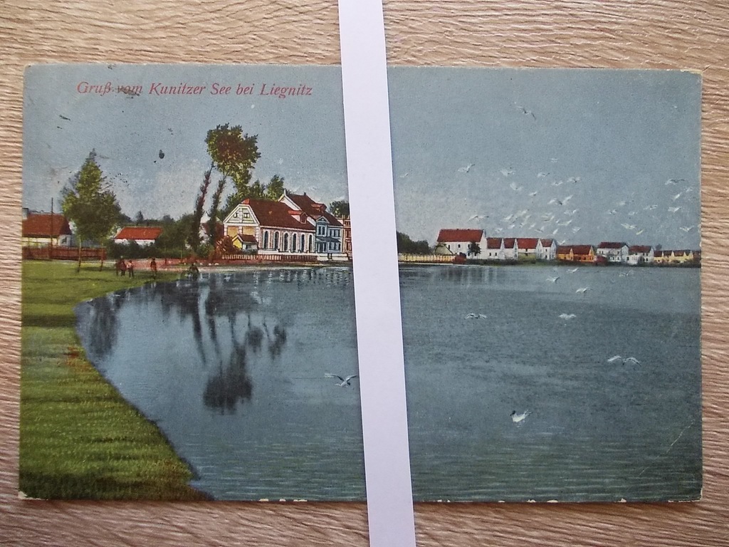 Kunice k. Legnica jezioro kunickie