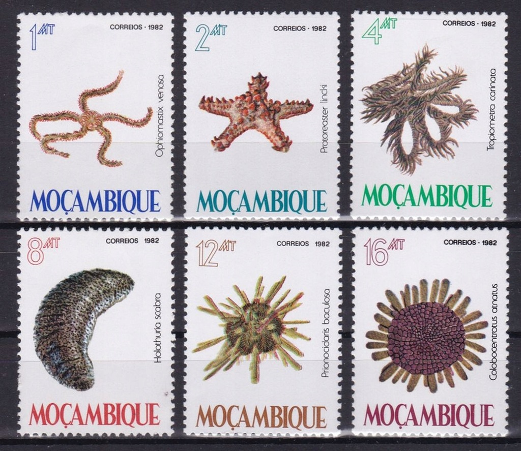 MOCAMBIQUE - FAUNA MORZA - 1982 r. - MNH(**)