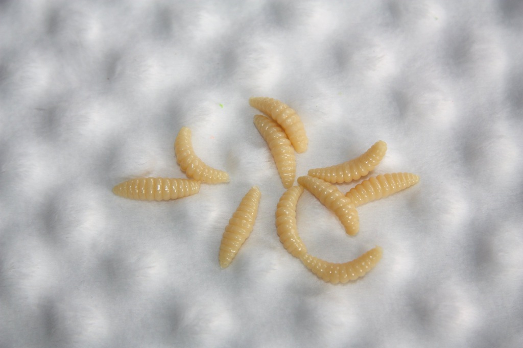 MIĘKKA LARWA GRUBA 2 CM 3G ZAPACH KREWETKI 50 SZT