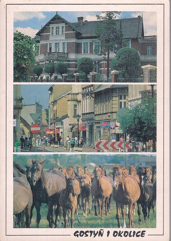 PONIEC Centrum GOSTYŃ Centrum Pępowo Konie RUP