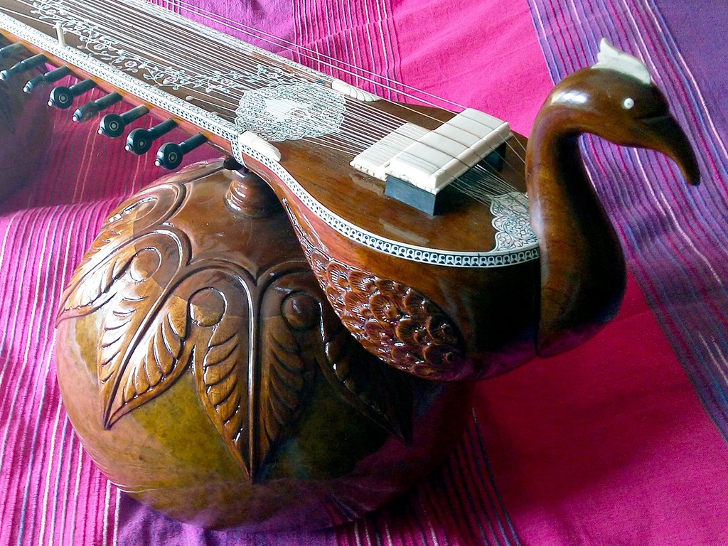 VICHITRA VEENA - indyjska "slajd gitara"