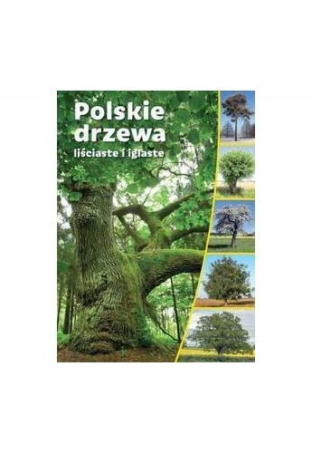 Polskie drzewa liściaste i iglaste