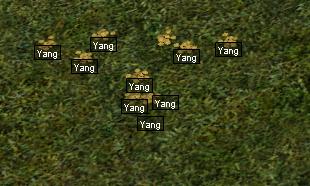 Metin2 yang won Negros KONIEC GRY