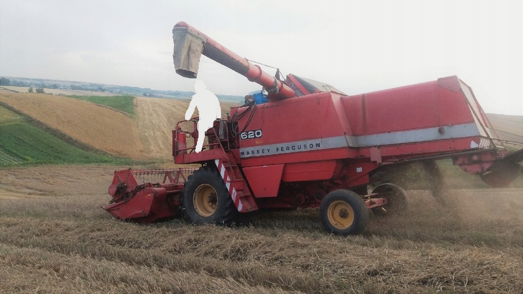 kombajn zbozowy massey ferguson