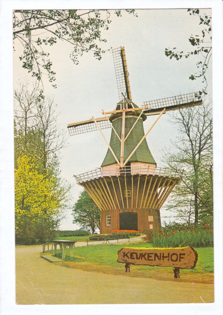HOLANDIA OGRÓD WIATRAK KEUKENHOF LISSE