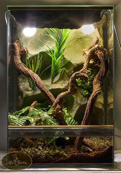 Terrarium tropikalne nowe 40x40x60 AlleTerra Gekon