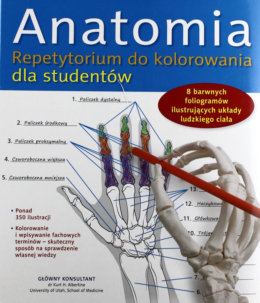 ANATOMIA. REPETYTORIUM DO KOLOROWANIA DLA STUDENTÓ