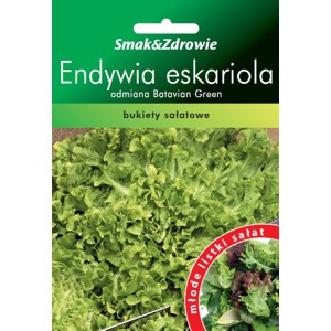 NASIONA WARZYW Endywia eskariola Bionda a cuore pi