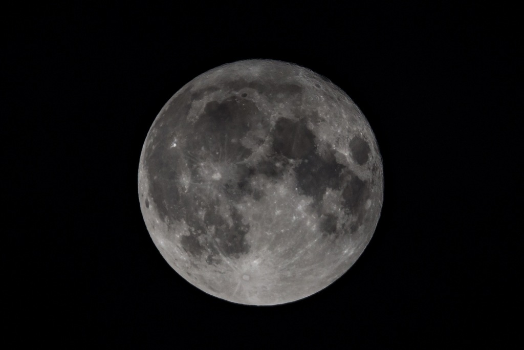 Tamron 150-600 mm F/5.0-6.3 Nikon | Sample