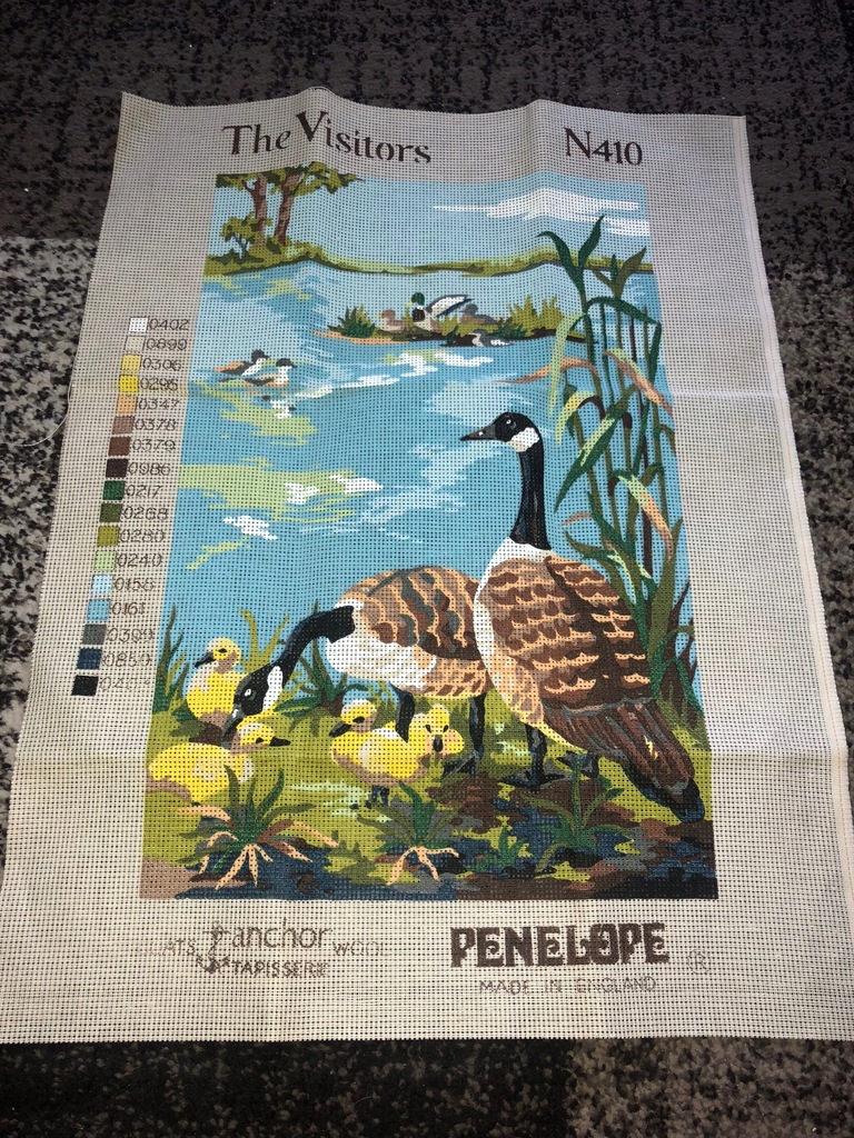 Kanwa do wyszywania STAW GĘSI NATURA 33x50 ANCHOR