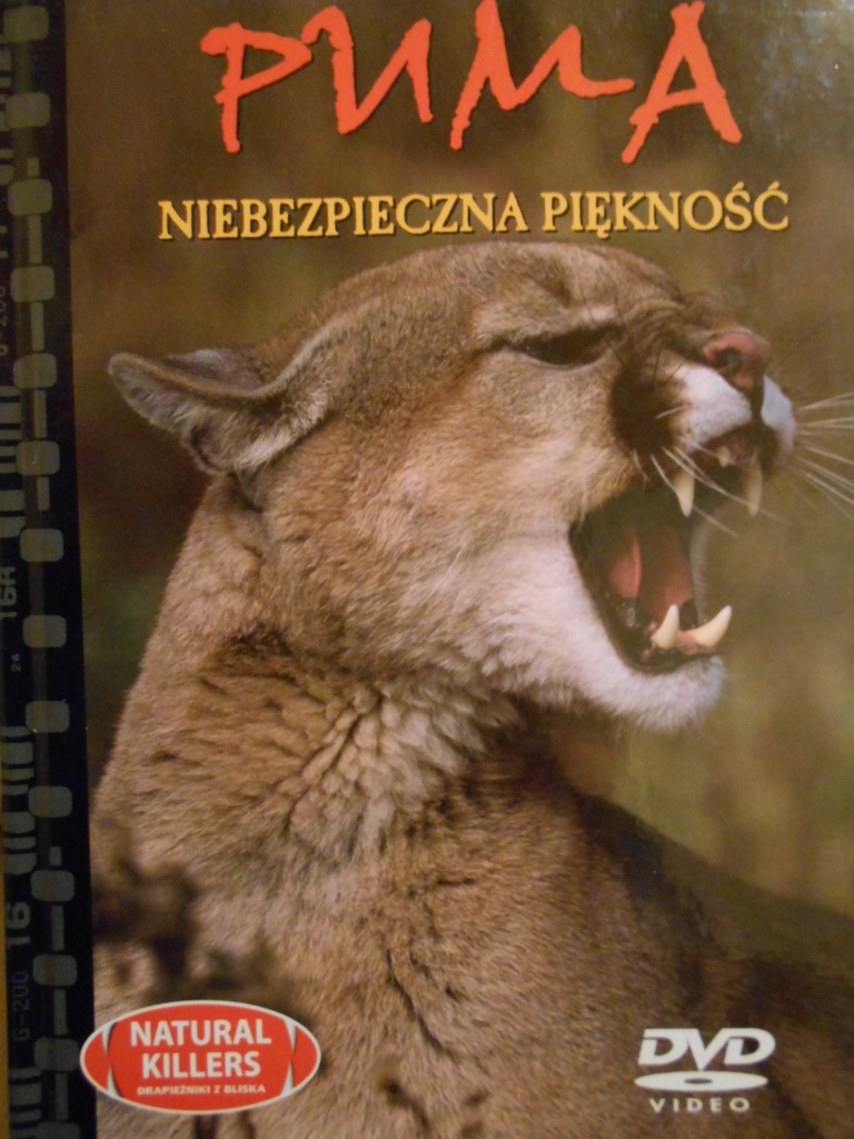 PUMA NIEBEZPIECZNA PIĘKNOŚĆ - NATURAL KILLERS DVD