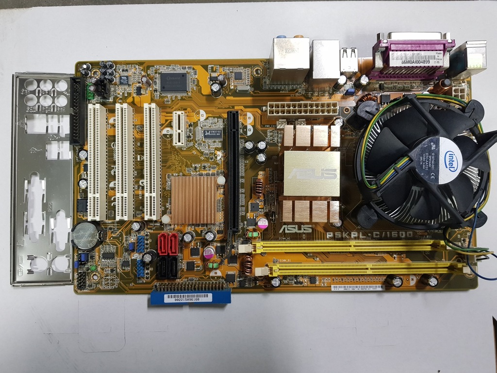 ASUS P5KPL-C/1600