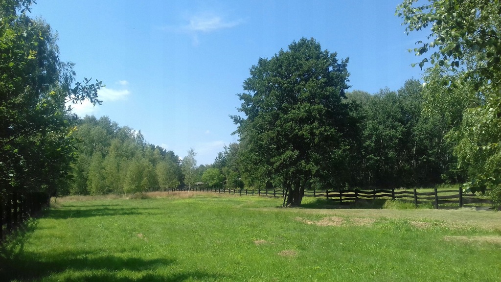 Działka Antoniew, gmina Wiskitki