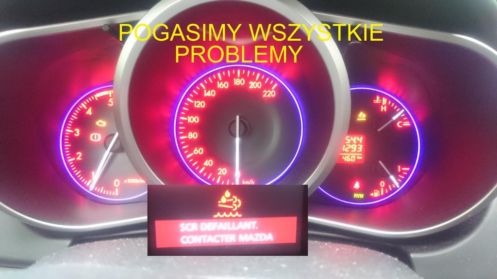 USUWANIE DPF FAP EGR ADBLUE KLAPY SONDA WARSZAWA