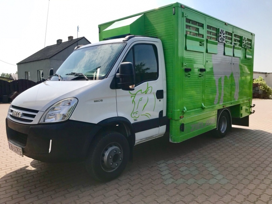 IVECO DAILY 65C15 do zwierząt bydła żywca PLAVAC