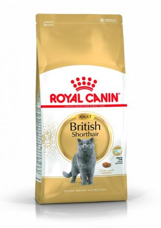 ROYAL CANIN BRITISH SHORTHAIR 10KG + KURIER