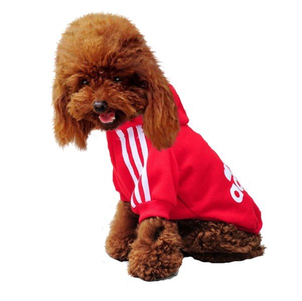ADIDOG BLUZA DLA PSA UBRANKO DRES UBRANIE L