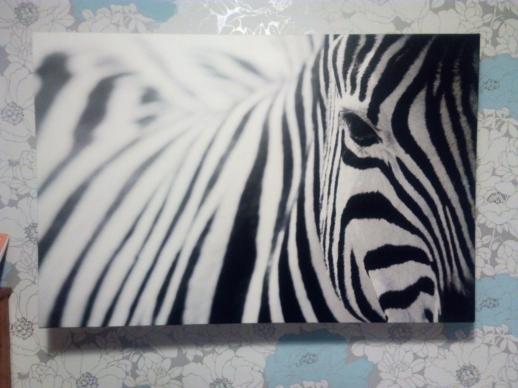Ikea Obraz ZEBRA Druk 118x78cm