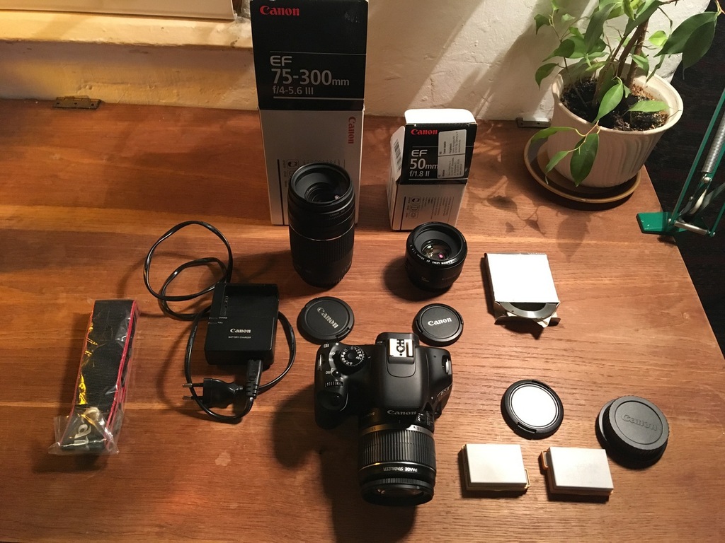 Canon EOS 550D KIT + EF75-300mm + EF 50mm + aku - 7108078566 ...