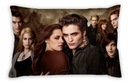 Zmierzch The Twilight Foto Poduszka Prezent Gadżet