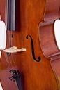 Лютье виолончель 4/4 М-мелодии №900, деревянная