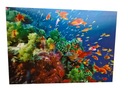 OBRAZEK 3D OBRAZKI RYBY RAFA MORZE RYBKI 3 D 25 35