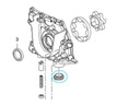 OPEL WITH GM 55589549 GASKET SMOKA photo 3 - milautoparts-fr.ukrlive.com