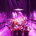 LED PANEL NA PESTOVANIE RASTLÍN GROWBOX 45W 225 ks LED Maximálny výkon 45 W