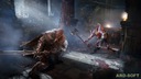 LORDS OF THE FALLEN EDYCJA LIMITOWANA Sony PlayStation 4 (PS4) Platforma PlayStation 4 (PS4)