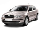 COUSSINET MIROIRS EL.GRZA GAUCHE SKODA OCTAVIA II 04-08 photo 2 - milautoparts-fr.ukrlive.com