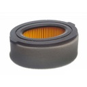 Vzduchový filter pre vertikutátor MTD 38VO VG45BM 751-10794 pre motor Typ filter