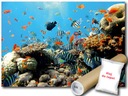 ФОТОобои РЫБКИ REEF 12C FXL 208x146 F4-005