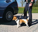 TRIXIE Szelki samochodowe uprząż pas bezpieczeństwa do auta dla psa XS Rozmiar XS