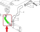 TUYAU DE RADIATEUR FIAT MAREA MULTIPLA 1.9 46832869 photo 6 - milautoparts-fr.ukrlive.com