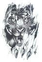 Наклейка с татуировкой тигра и когтями тигра TM83