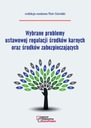 Проблемы законодательного регулирования мер уголовного наказания