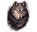 НАКЛЕЙКА АВТО ГРАФИКА WILK WILD WOLF UV БОЛЬШОЙ ГРУЗОВИК