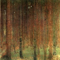 Obraz Forest - Gustav Klimt 50x50