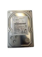 Disk Hitachi HUS723030ALS640 3000 GB 3,5" SAS