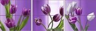 Samolepka na stenu/Tapeta Keramické dlaždice Stickers NPK kvety tulipány
