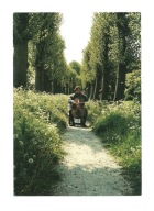 Pocztówka - Mężczyzna z wiolonczelą i dmuchawce